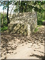 Curious structure on the Riverside Path