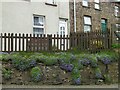 Flowered wall, Kevlin Road