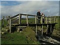 Footbridge, Dunseverick