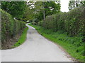 Buckhatch Lane south from Oaklands Farm