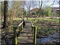 Boardwalk over marshy ground