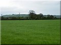 Field near Potters Hill