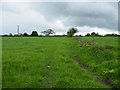 Field near Potters Hill