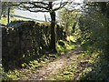 SX6759 : Track to Owley Moor Gate by Derek Harper