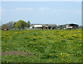 2009 : The postman calls at Stokes Marsh Farm