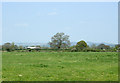 2009 : Pasture off New Road