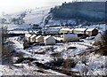 A walk in the snow - Danybryn, Gilfach Goch