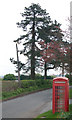 SP4567 : Phone box, Hill by Andy F