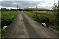 Farm road near Cowsden