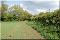 Banked hedge, Stockton