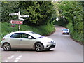 Road junction at Killerton House