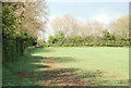 Hedgerow near Long Itchington school