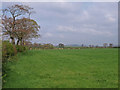 Field beside Middleton Farm