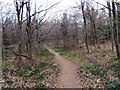 Wyre Forest near Buttonbridge