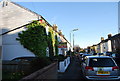 Ivy clad, Weatherboarded Cottage, Charles St