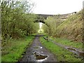 Ecklands bridge crosses the Trans Pennine Trail