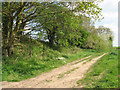 Track beside railway embankment