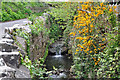 The Ogney Brook on Church Lane, Llantwit Major