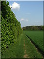 Footpath To Risby Little Wood