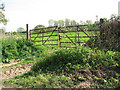 Gate into cattle pasture