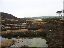 SH4490 : View ENE along a line of copper pits on the south side of Mynydd Parys by Eric Jones