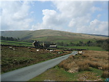 NY6903 : Ruin in Weasdale by David Brown