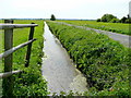 Drain on Tealham Moor