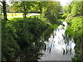 The Great Stour near Victoria Park