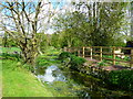 Allington - The River Bourne