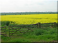 TA0458 : Farmland South West of Nafferton by JThomas