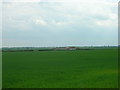 Farmland near North Frodingham