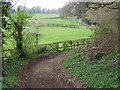 Bridleway, Whitsbury