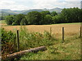 Distant Brecon Beacons from lane near Llanfrynach