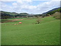 Cairns Dallash Fields