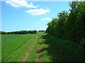 Farm Track near Hill Farm