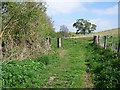 Footpath near Old Dilton