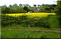 Fields between Harkstead and the River Stour