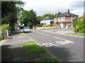 Sightseers in Park Crescent following the 2009 Havant Borough Council May Days Arts Trail in Emsworth