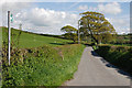 Bridleway north of Dole