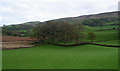 Brackenthwaite