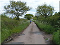SY0196 : A lovely lane for cycling by Rob Purvis