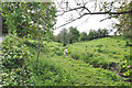 Un-named tributary of the River Thaw, Castleton - St Athan