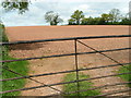 Ploughed field near Whimple