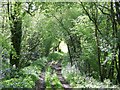 Footpath from Green Lane