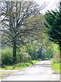 Bridleway, Clivey Farm