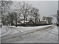 Bream Primary in winter