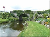 N6547 : Hill of Down Bridge on the Royal Canal by JP