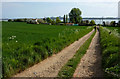 Track to the Stour at Erwarton Bay