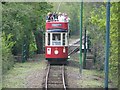 Approaching tram near Colyford