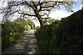 Looking down the lane towards Daywall Manor